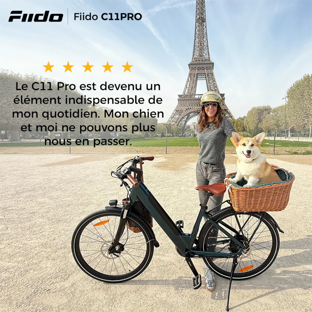 Fiido C11 Pro Vélo Électrique Léger Urbain - Image 6