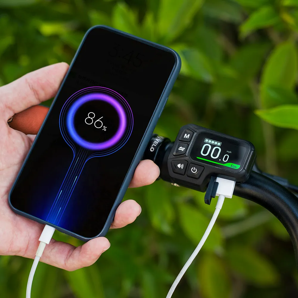 Fiido C11 Pro Vélo Électrique Léger Urbain - Image 5