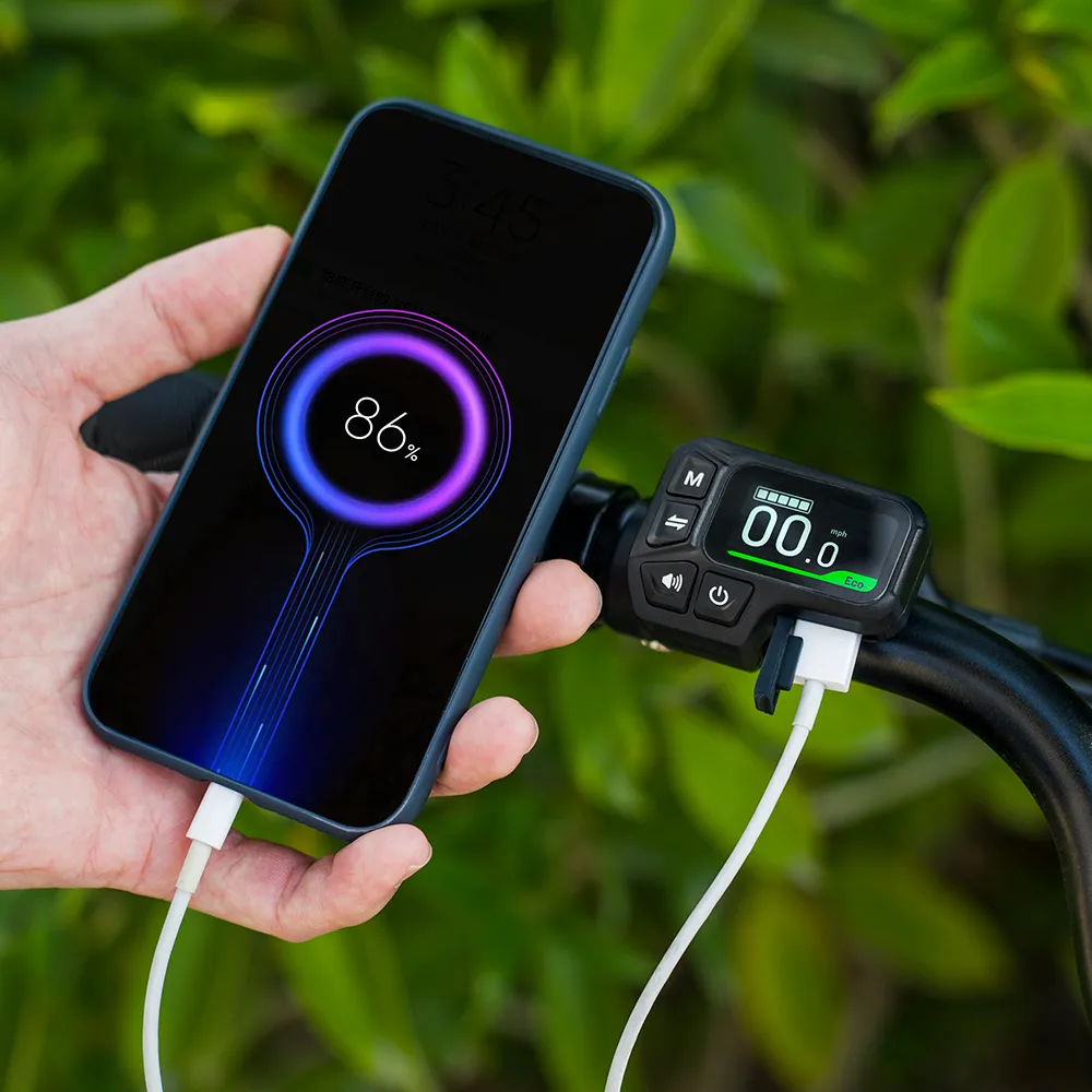 Fiido C11 Vélo Électrique Léger Urbain - Image 8