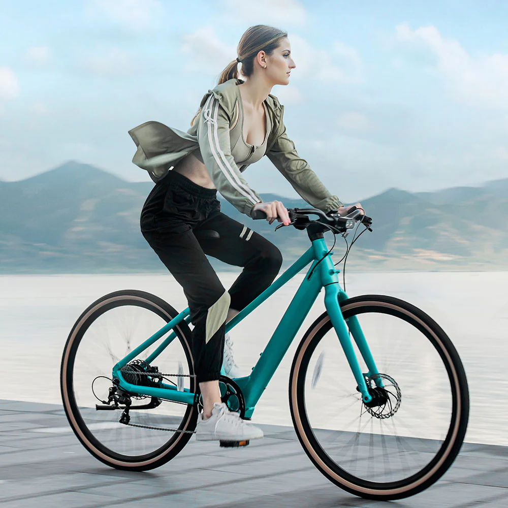 Fiido C22 - Gravel Vélo électrique Léger - Image 3