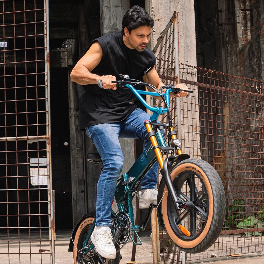 Fiido M1 Pro Vélo électrique Vtt Fatbike Cargo De Gros Pneus - Image 10