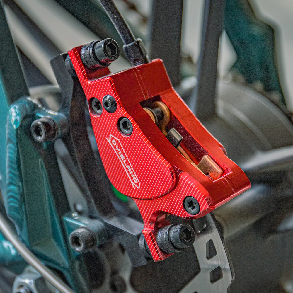 Fiido M1 Pro Vélo électrique Vtt Fatbike Cargo De Gros Pneus - Image 6