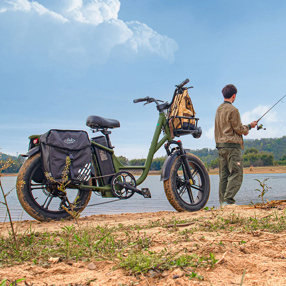 Fiido T1 Pro Vélo électrique Fatbike Cargo - Image 4