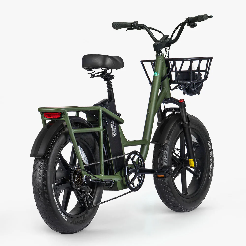 Fiido T1 Pro Vélo électrique Fatbike Cargo - Image 6