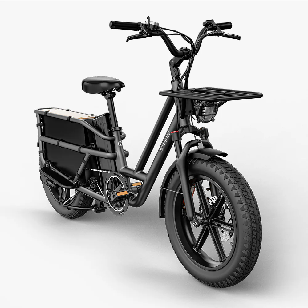 Fiido T2 Vélo électrique Longtail Fatbike Cargo - Image 11