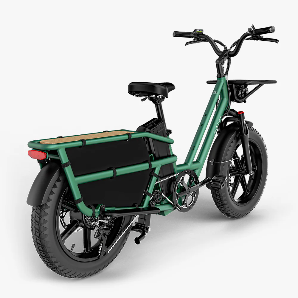 Fiido T2 Vélo électrique Longtail Fatbike Cargo - Image 12