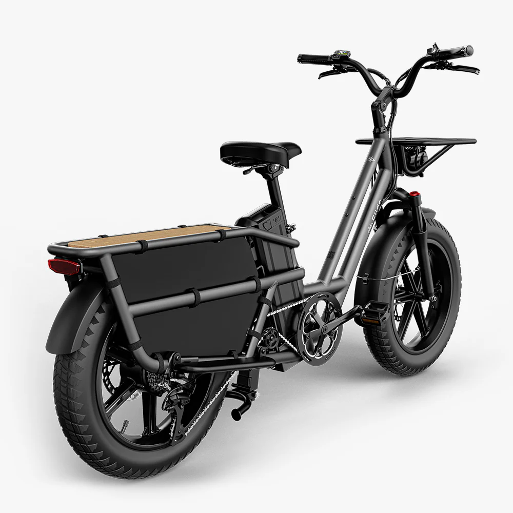 Fiido T2 Vélo électrique Longtail Fatbike Cargo - Image 13