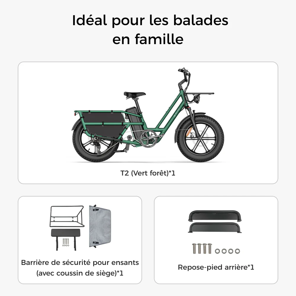Fiido T2 Vélo électrique Longtail Fatbike Cargo - Image 15