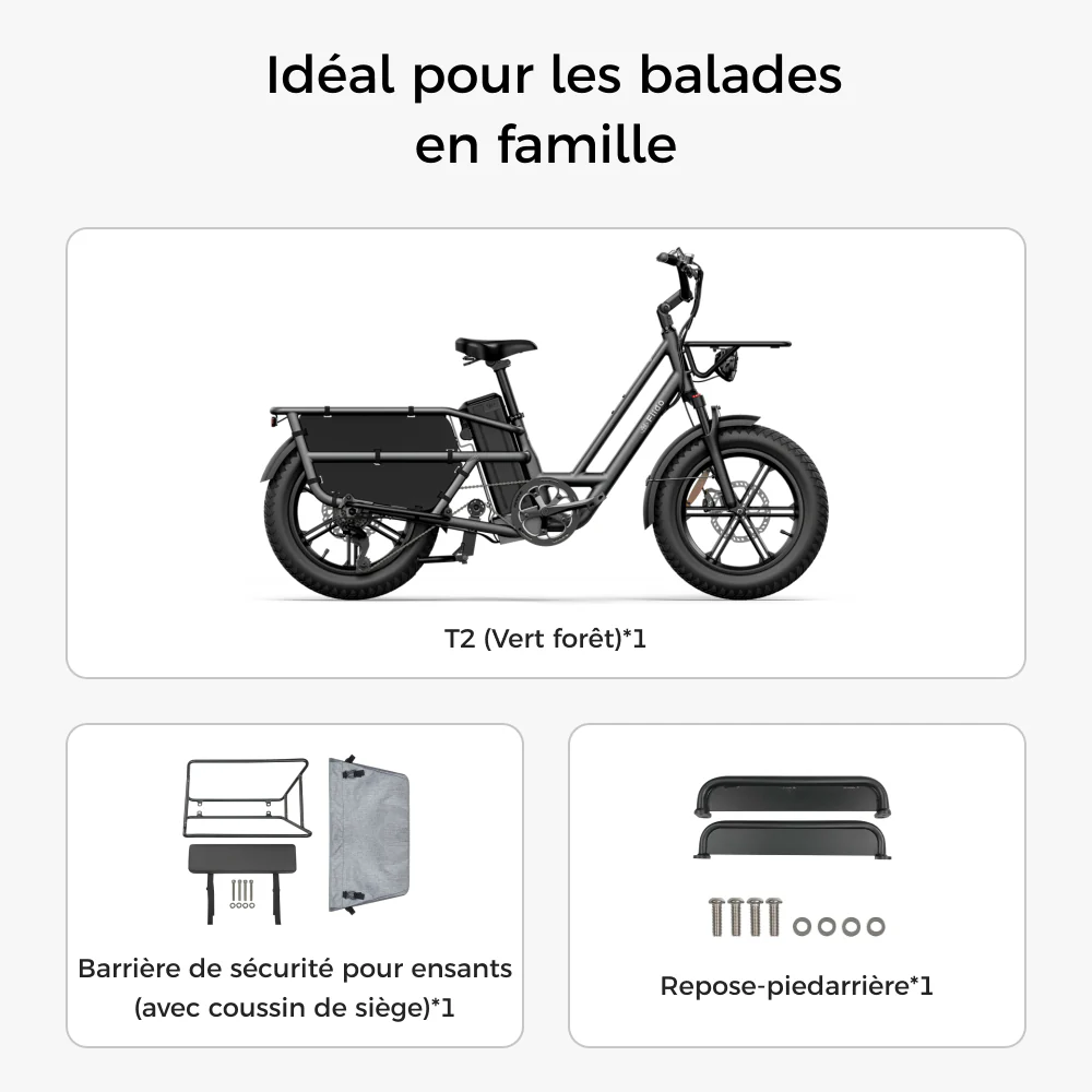 Fiido T2 Vélo électrique Longtail Fatbike Cargo - Image 16