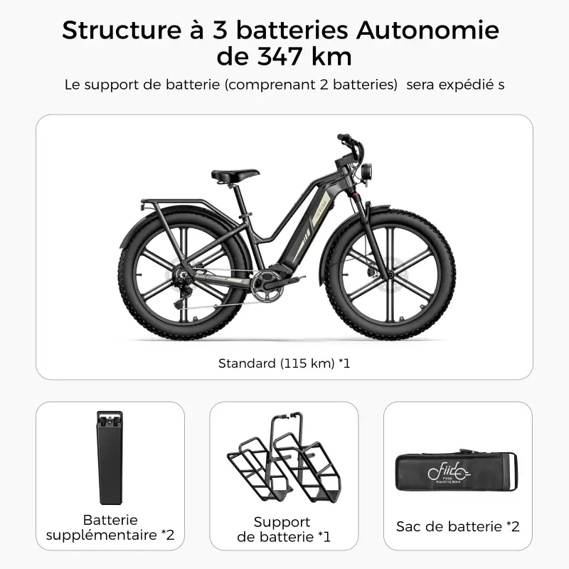 Vélo électrique Titan Fat Tire Chasse et Randonnée - Grande Autonomie - Image 9